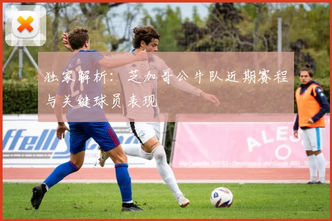 独家解析：芝加哥公牛队近期赛程与关键球员表现