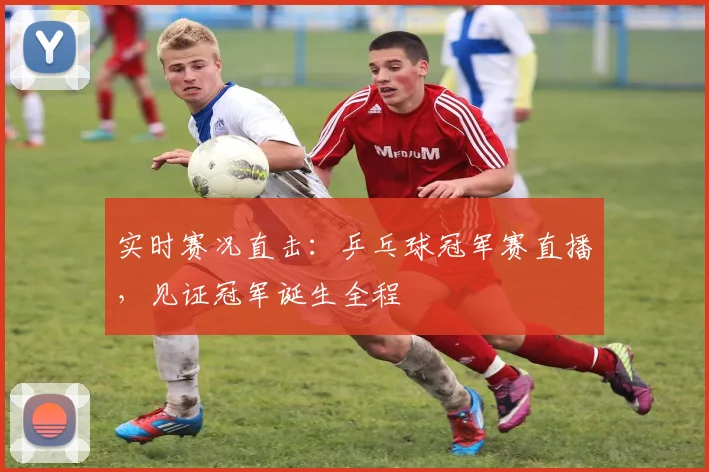 实时赛况直击：乒乓球冠军赛直播，见证冠军诞生全程